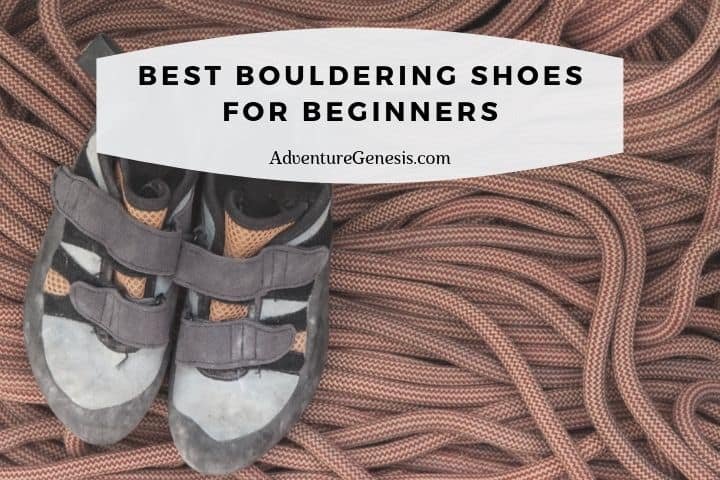 Best Indoor Bouldering Shoes for Beginners