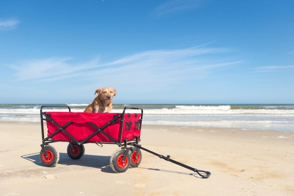 Beach wagon on soft sand