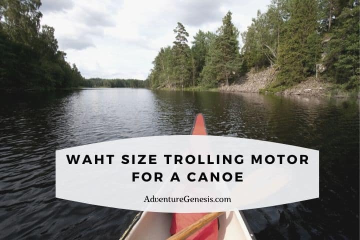 What Size Trolling Motor for a Canoe